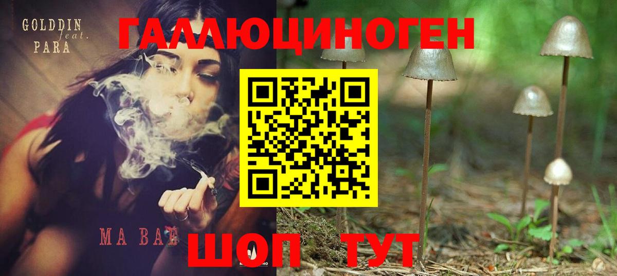 Галлюциногенные грибы MAGIC MUSHROOMS Тобольск