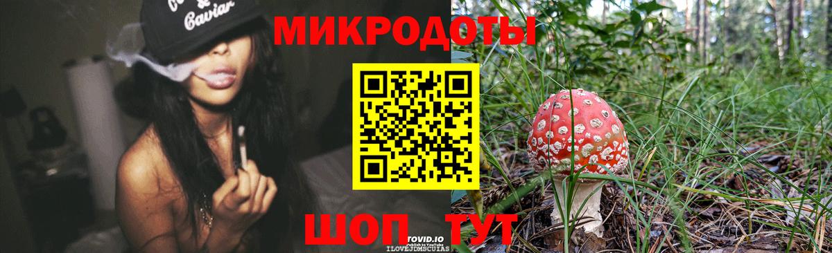 Тобольск  Псилоцибиновые грибы Psilocybine cubensis  Вход с VPN 